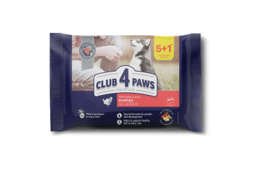 CLUB 4 PAWS PREMIUM KUTSIKATELE "KALKUNIGA KASTMES". KONSERV TÄISSÖÖT LEMMIKLOOMATOIT